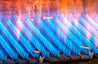 Wombleton gas fired boilers